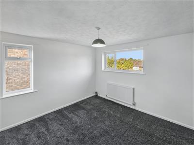 Picture 13